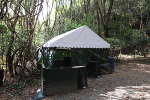 IMG_9082